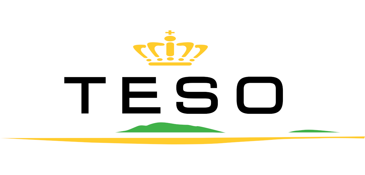 TESO-logo